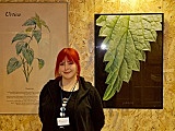 Muzeum Papiernictwa, 12.4.2023