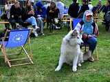 [FOTO] Masa atrakcji na Pikniku Europejskim na Osiedlu Kruczkowskiego w Kłodzku