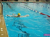 Zawody pływackie w Świdnicy 