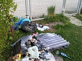 [FOTO] Rozrzucili śmieci bo dezynfekowali kubły