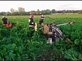 Katastrofa w Strzegomiu. Na pole spadł śmigłowiec, nie żyją dwie osoby