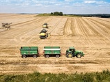 [FOTO] Żniwa w gminie Marcinowice