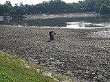 [FOTO] Prokurator na terenie zalewu. Pracownicy Wód Polskich oczyszczają akwen z martwych małż