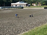 [FOTO] Prokurator na terenie zalewu. Pracownicy Wód Polskich oczyszczają akwen z martwych małż