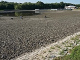 [FOTO] Prokurator na terenie zalewu. Pracownicy Wód Polskich oczyszczają akwen z martwych małż