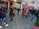 [FOTO, WIDEO] Mylicie Sejm z cyrkiem, a Polskę z lasem - manifestacja w Świdnicy