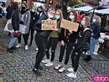 [FOTO, WIDEO] Mylicie Sejm z cyrkiem, a Polskę z lasem - manifestacja w Świdnicy