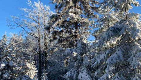 To Narnia? Nie. Góry Sowie!