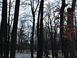 [FOTO] Migawki z miasta: Park im.Jana Kasprowicza