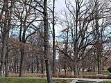 [FOTO] Migawki z miasta: Park Centralny