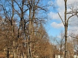 [FOTO] Migawki z miasta: Park Centralny