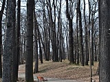 [FOTO] Migawki z miasta: Park im.gen.W.Sikorskiego