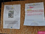 [FOTO] Nie kupuj, adoptuj!