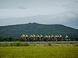 [FOTO] W szczytnym celu. Ze Świebodzic na Hel: 620 km na rowerach, w 19 godzin