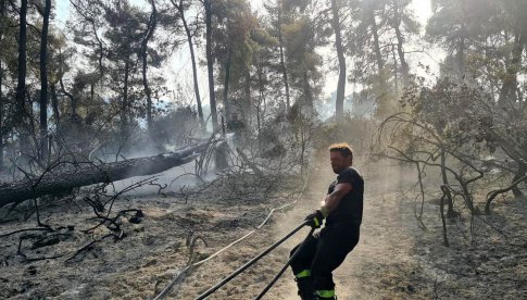 [FOTO] Świdniccy strażacy walczą z żywiołem w Grecji