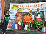Święto Dyni w Wierzbnej 