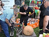 Święto Dyni w Wierzbnej 