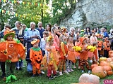 Święto Dyni w Wierzbnej 