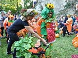 Święto Dyni w Wierzbnej 