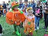 Święto Dyni w Wierzbnej 
