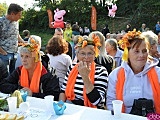 Święto Dyni w Wierzbnej 