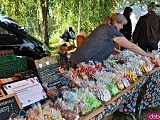 Święto Dyni w Wierzbnej 