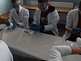 [FOTO] Wybuchowe eksperymenty chemiczne 