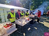 [FOTO] Półmaraton Aryzta w Strzegomiu i Bieg Piekarza za nami