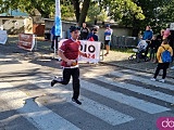 [FOTO] Półmaraton Aryzta w Strzegomiu i Bieg Piekarza za nami