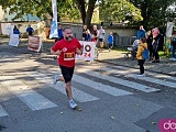 [FOTO] Półmaraton Aryzta w Strzegomiu i Bieg Piekarza za nami