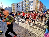 [FOTO] Półmaraton Aryzta w Strzegomiu i Bieg Piekarza za nami