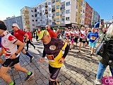 [FOTO] Półmaraton Aryzta w Strzegomiu i Bieg Piekarza za nami