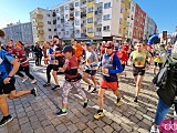 [FOTO] Półmaraton Aryzta w Strzegomiu i Bieg Piekarza za nami