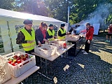 [FOTO] Półmaraton Aryzta w Strzegomiu i Bieg Piekarza za nami