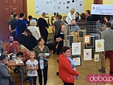 [FOTO, WIDEO] Noc Bibliotek w Świdnicy