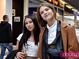 [FOTO] Światowy Tydzień Zwierząt w Świdnicy