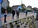 [FOTO] Żarów zielenieje