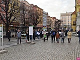 [FOTO] Marsz Ani jednej więcej w Świdnicy