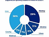 Polscy kierowcy spowodowali szkody na zagranicznych drogach o wartości 1,3 mld zł