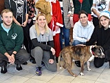 Kiermasz Świąteczny w Schronisku dla Bezdomnych Zwierząt