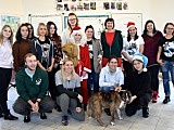 Kiermasz Świąteczny w Schronisku dla Bezdomnych Zwierząt
