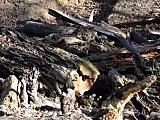 Jak zmienia się Park Młodzieżowy?