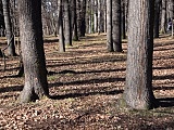 Jak zmienia się Park Młodzieżowy?