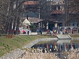 Bieg Jedności Solidarni z Ukrainą