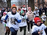 Bieg Tropem Wilczym w Strzegomiu
