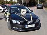 Z weselem KGW Lutomia Dolna wyrusza na konkurs