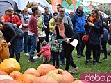 [FOTO] Tłumy na Pomarańczowym Święcie Dyni 