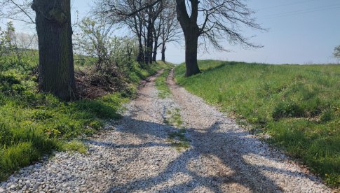 Gruszów i Śmiałowice z dofinansowaniem na drogi transportu rolnego [Foto]