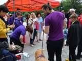 Bieg charytatywny dla zwierząt ze schroniska w Świdnicy już 2 lipca. Jak wziąć udział? [SZCZEGÓŁY]