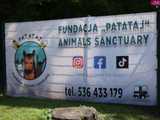 [FOTO] Świetna zabawa i szczytny cel. Fundacja Patataj Animals Sanctuary zaprasza na piknik